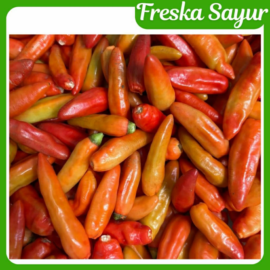 

Cabe Rawit Merah Petik 250 gr I Cabai Rawit Merah Petik