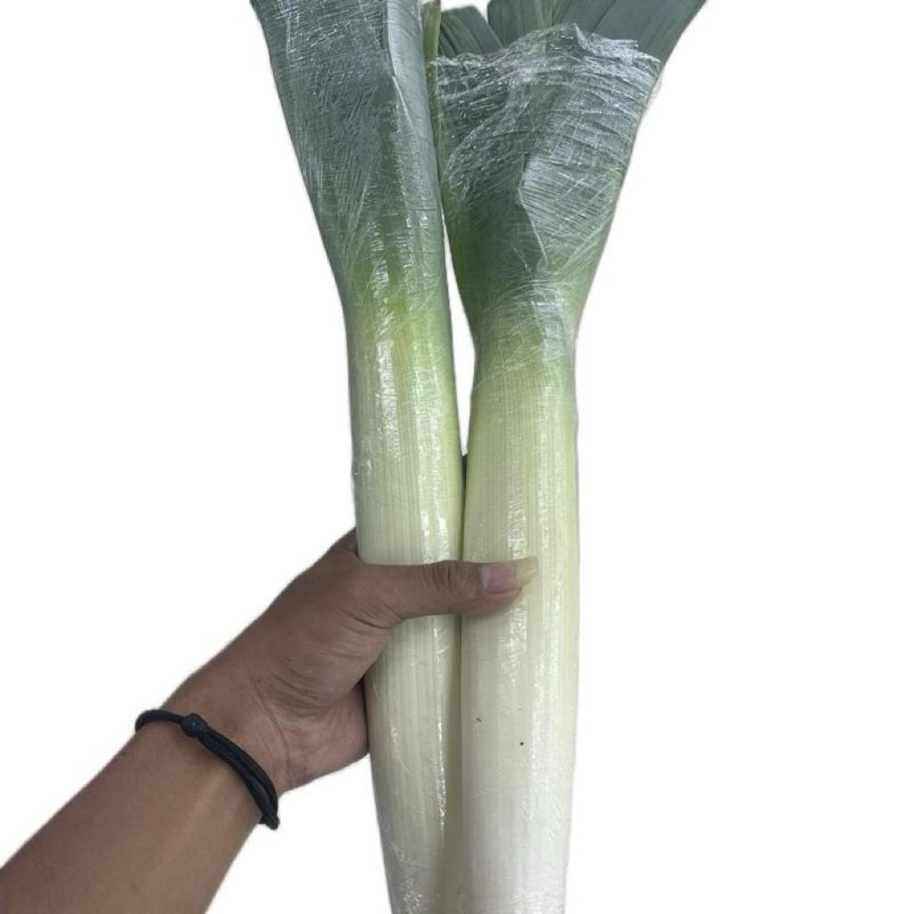 

Daun Bawang Import | Leek Import Fresh 1,2Kg