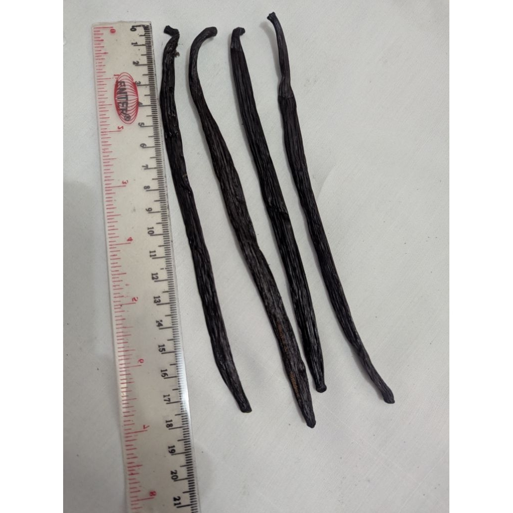

Vanili kering / vanilla beans Planifolia grade A 25gr-50gr-100gr