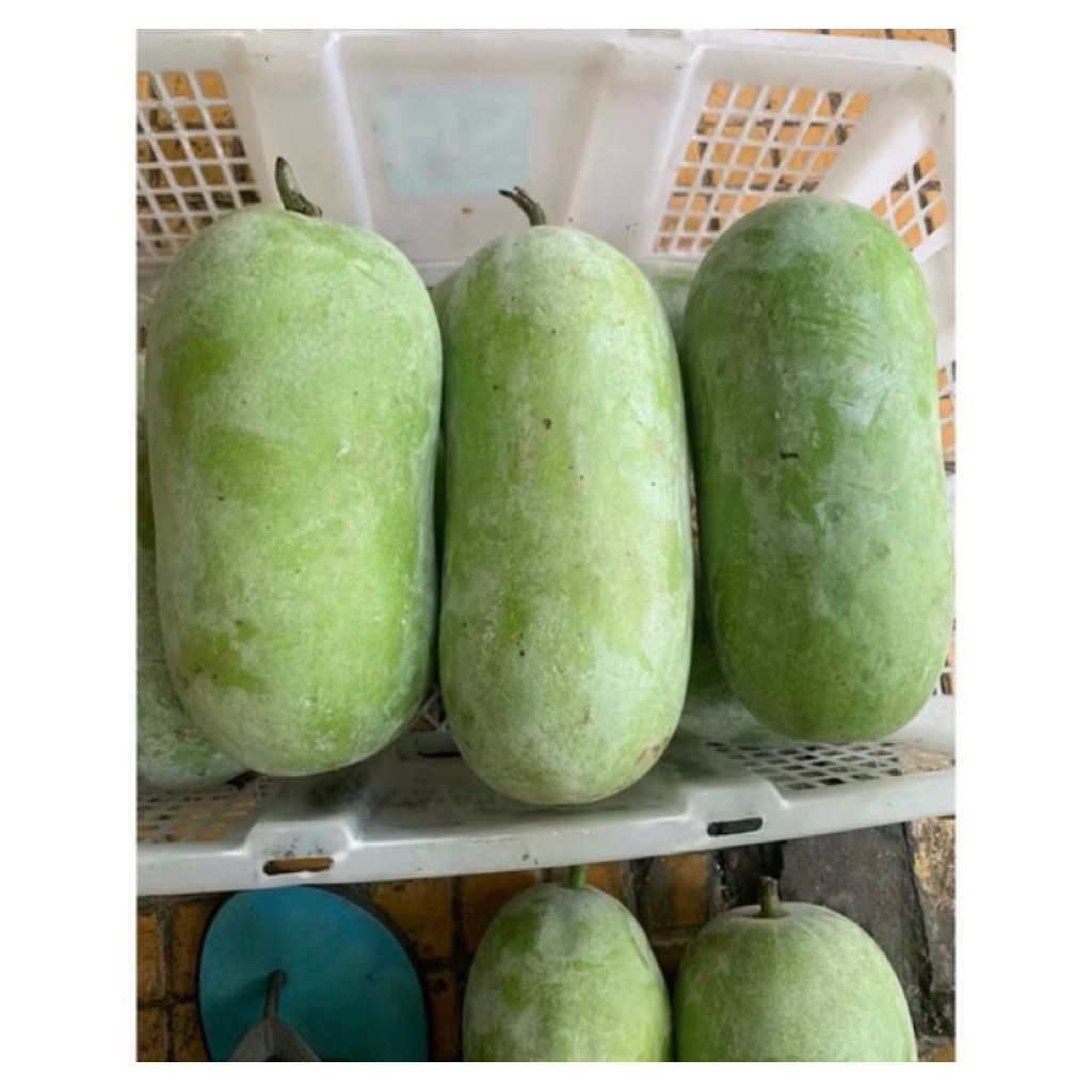 

BUAH KUNDUR BUAH BLIGO sejenis labu sayur Stock selalu Ready 2-2,4 kg