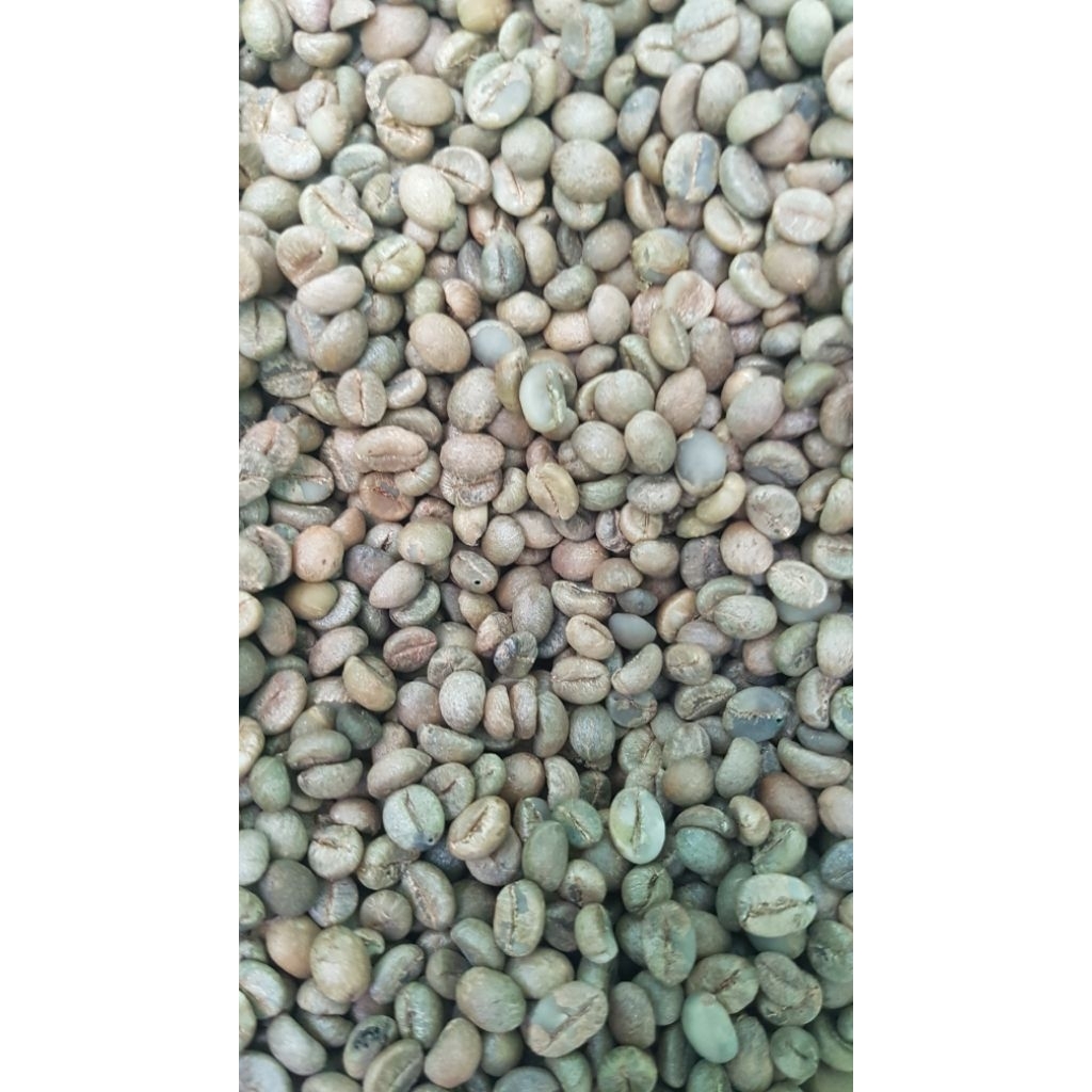 

Biji Kopi Mentah | Green Bean | Robusta Dan Arabika