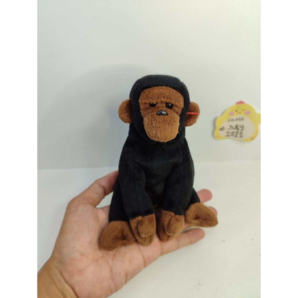 boneka ty beanie simpanse monkey kingkong kera