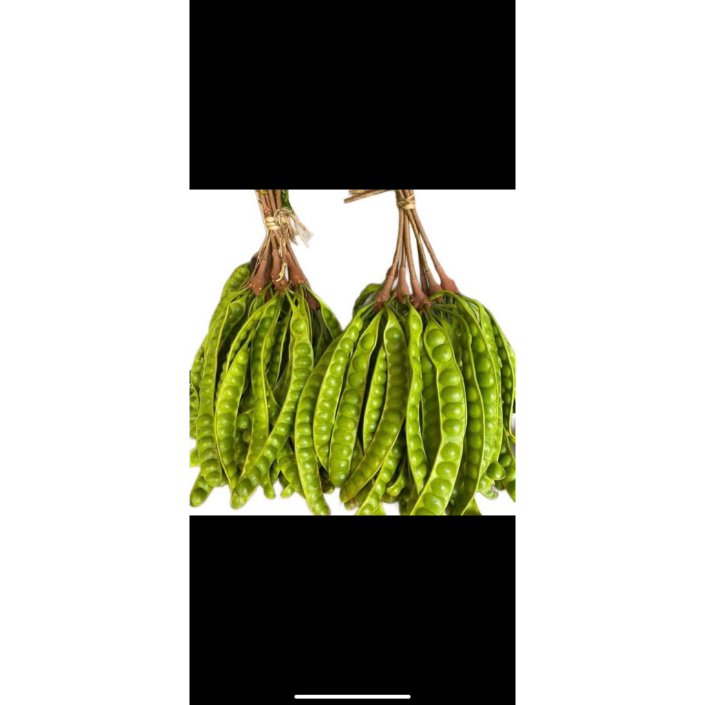 

Pete tua panjang 10 papan