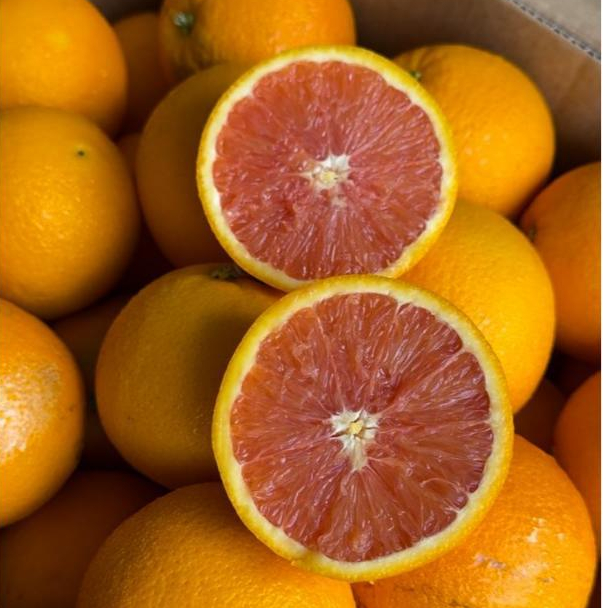 

Cara Cara Ausie (KG)