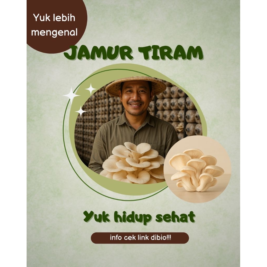 

mengenal jamur tiram