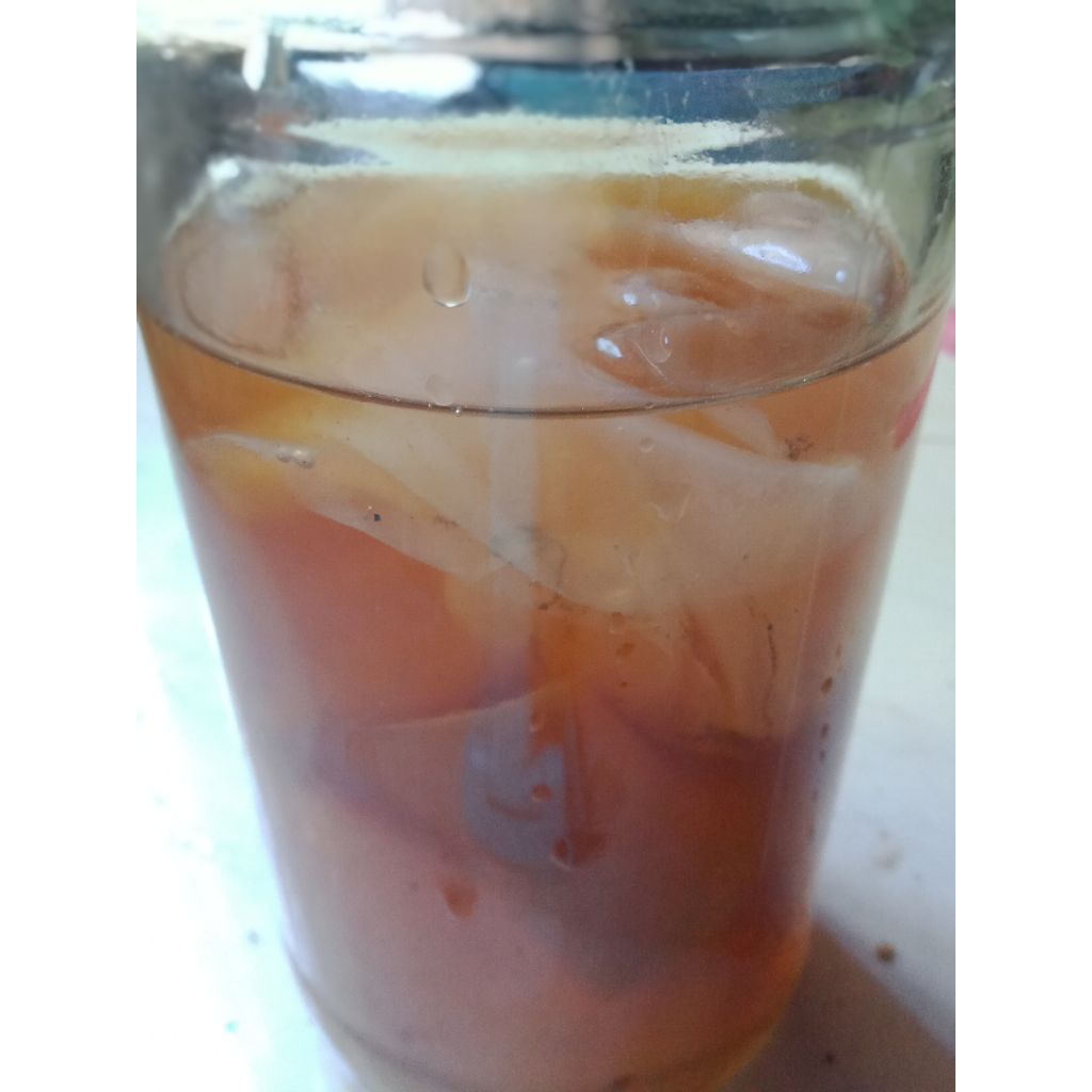 

BIBIT KOMBUCHA ekonomis in a bottle
