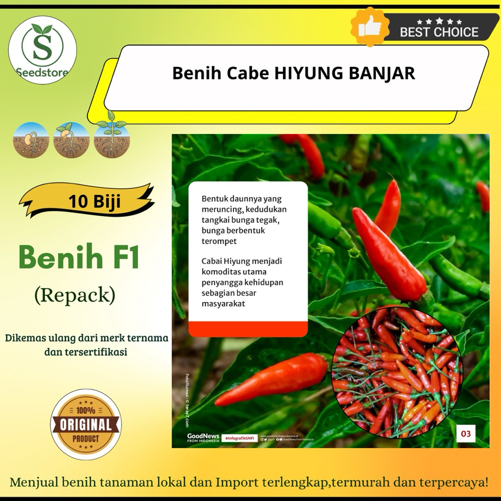 10 Benih Biji Cabe Hiyung Banjar