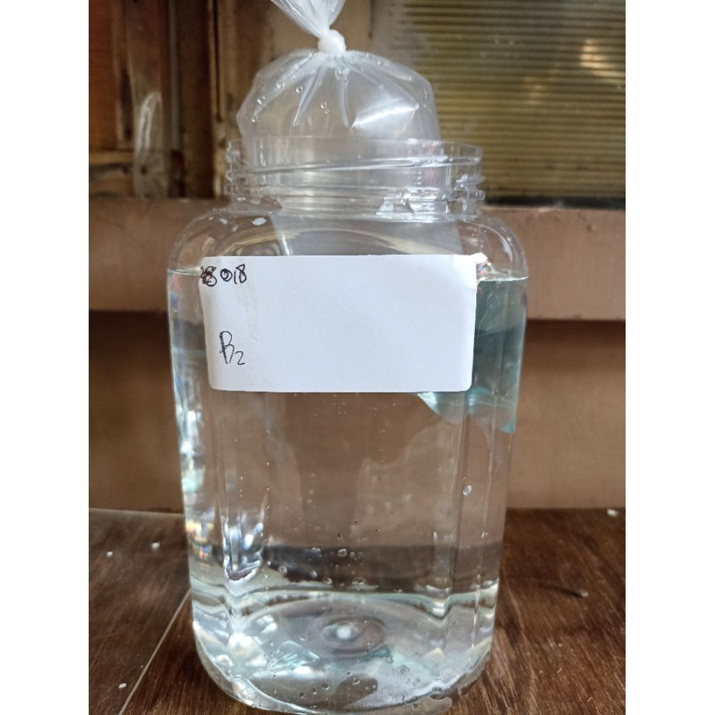 Toples 2 liter ikan cupang