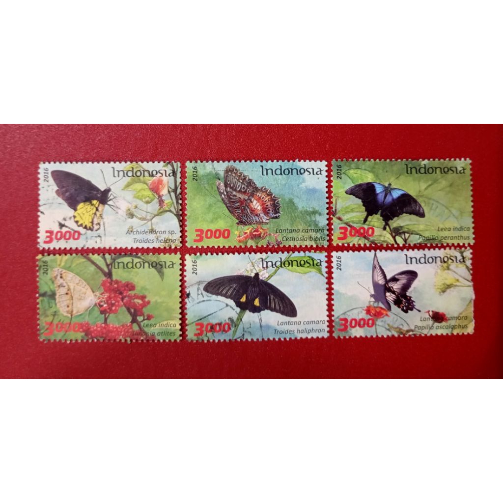 

PRANGKO INDONESIA FLORA DAN FAUNA