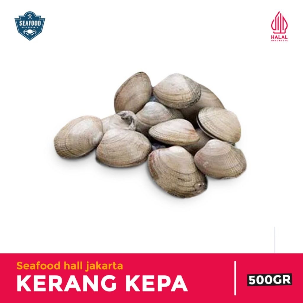 

Kerang Kepa Tahu Bersih Siap Masak 500gram/1kg