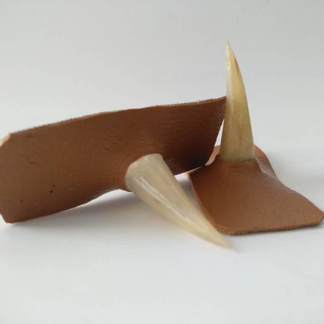 jalu sambungan jalu sambung untuk kaki ayam