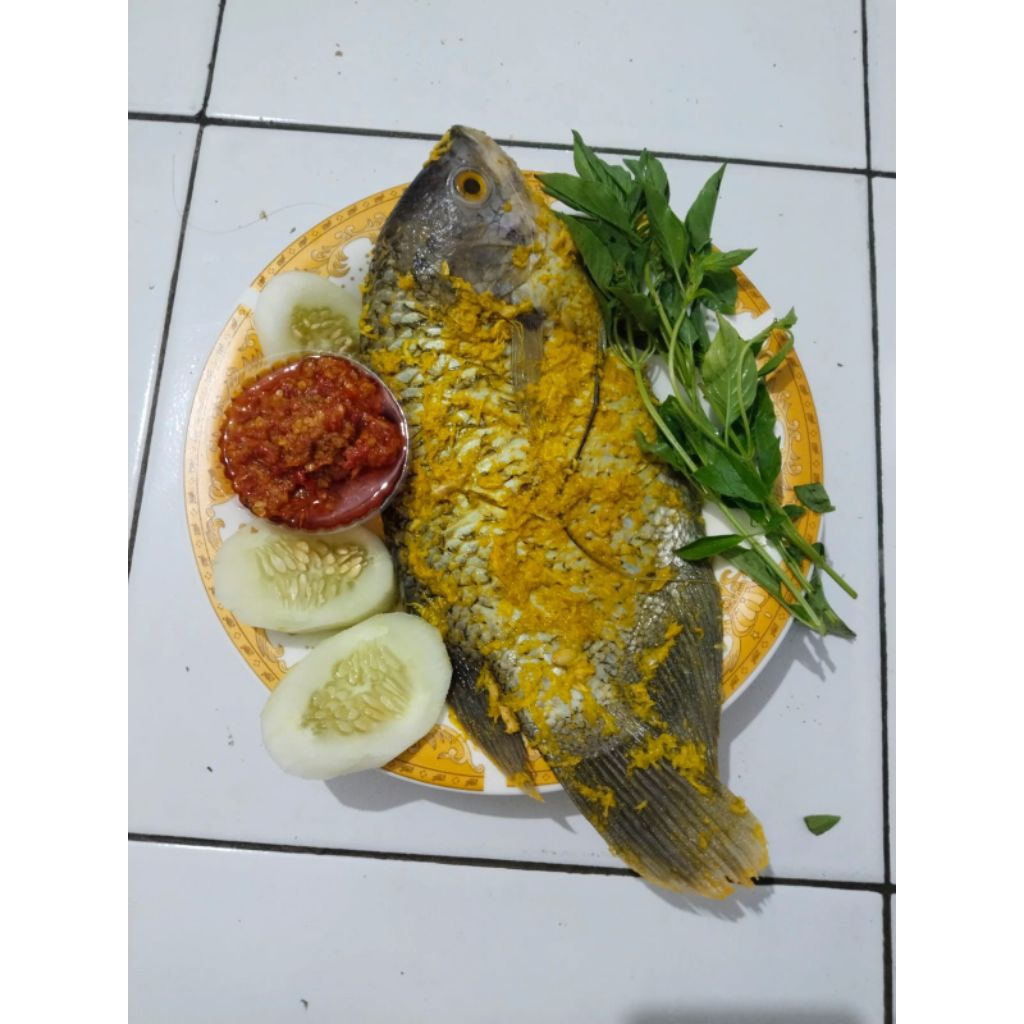 

1 kg ikan fresh bumbu kuning.gratis sambal dan lalapan timun iris dan kemangi cucian.
