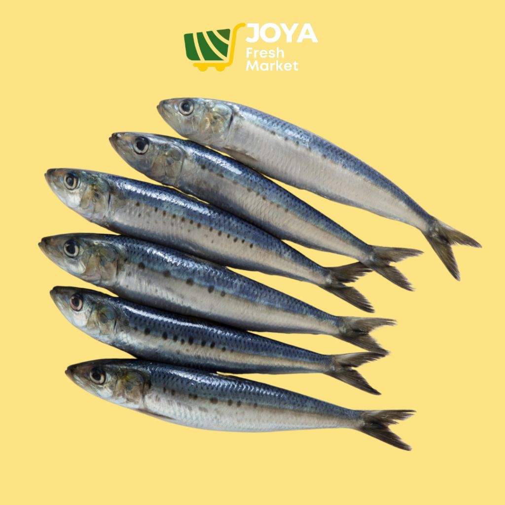 

Joya Fresh - Ikan Sarden Lemuru Segar/Seafood Segar/Ikan Dencis Sarden Segar