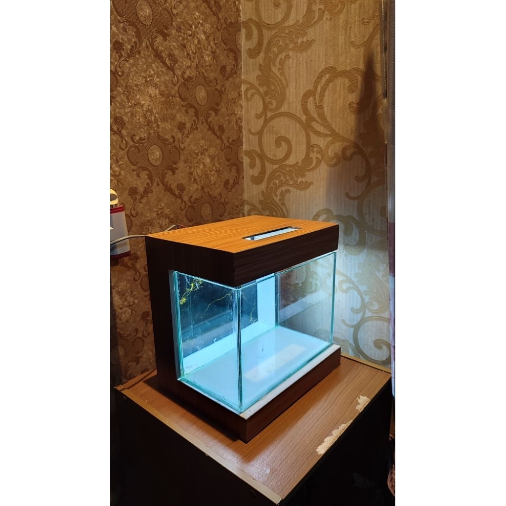 aquarium minimalis