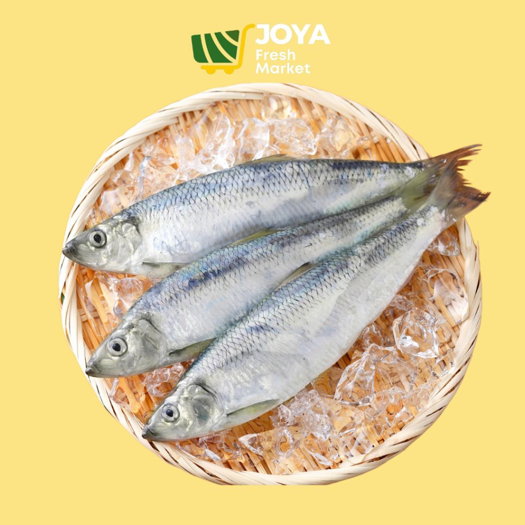 

Joya Fresh - Ikan Belanak Segar/Seafood Segar/Ikan Blanak Fresh/Ikan Bolu Segar