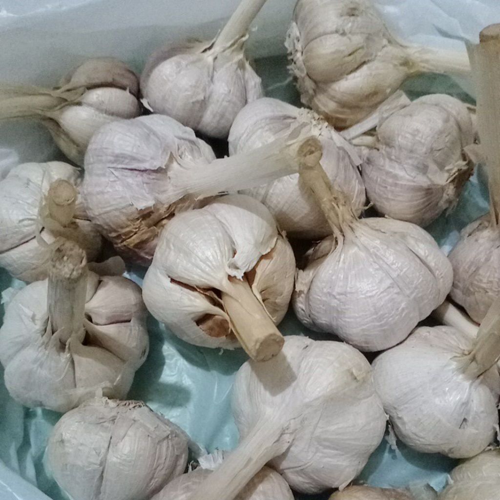 

1kg bawang putih kating bersihan.