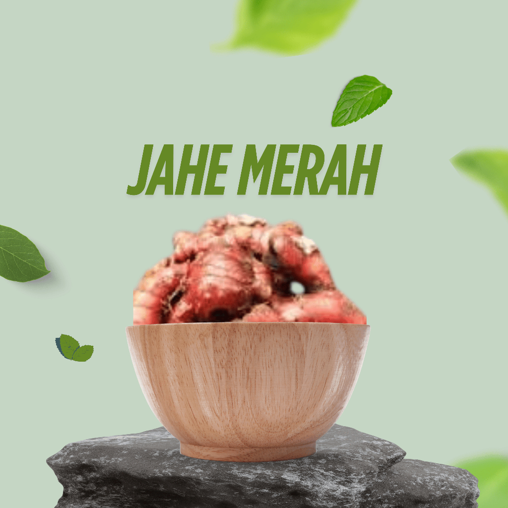 

Jahe Merah Segar 100% Asli – Rempah Herbal Masakan & Minuman Sehat | 250gr 500gr 1Kg