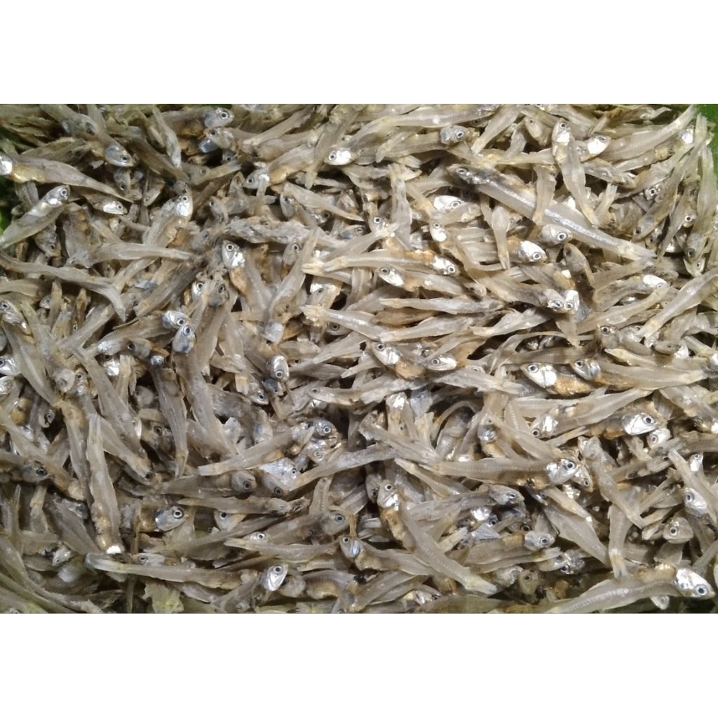 

TERI JENGKI TAWAR 300 Gram