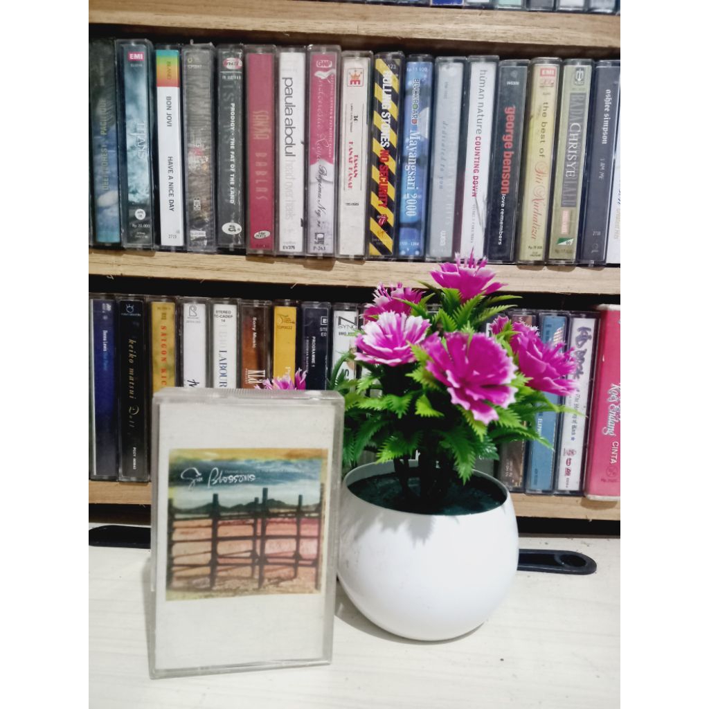 KASET GIN BLOSSOMS FOLLO YOU DOWN