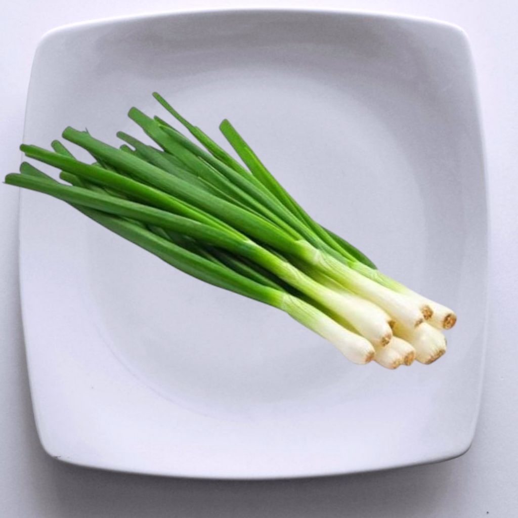 

Daun Bawang ikat sedang