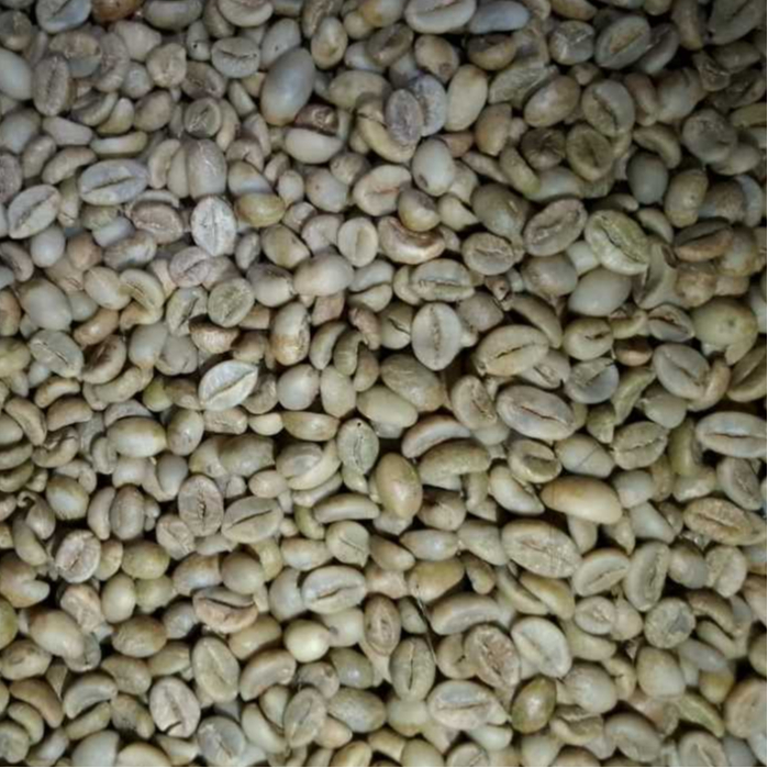 

500Gr Greenbean Robusta Gemawang Temanggung ''Grade 1''