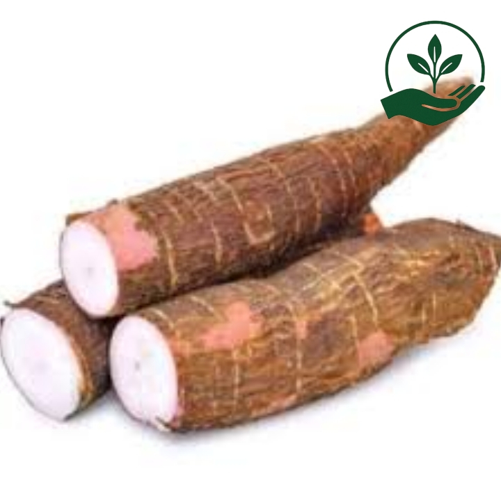 

Singkong Enak Empuk Fresh 1 kg