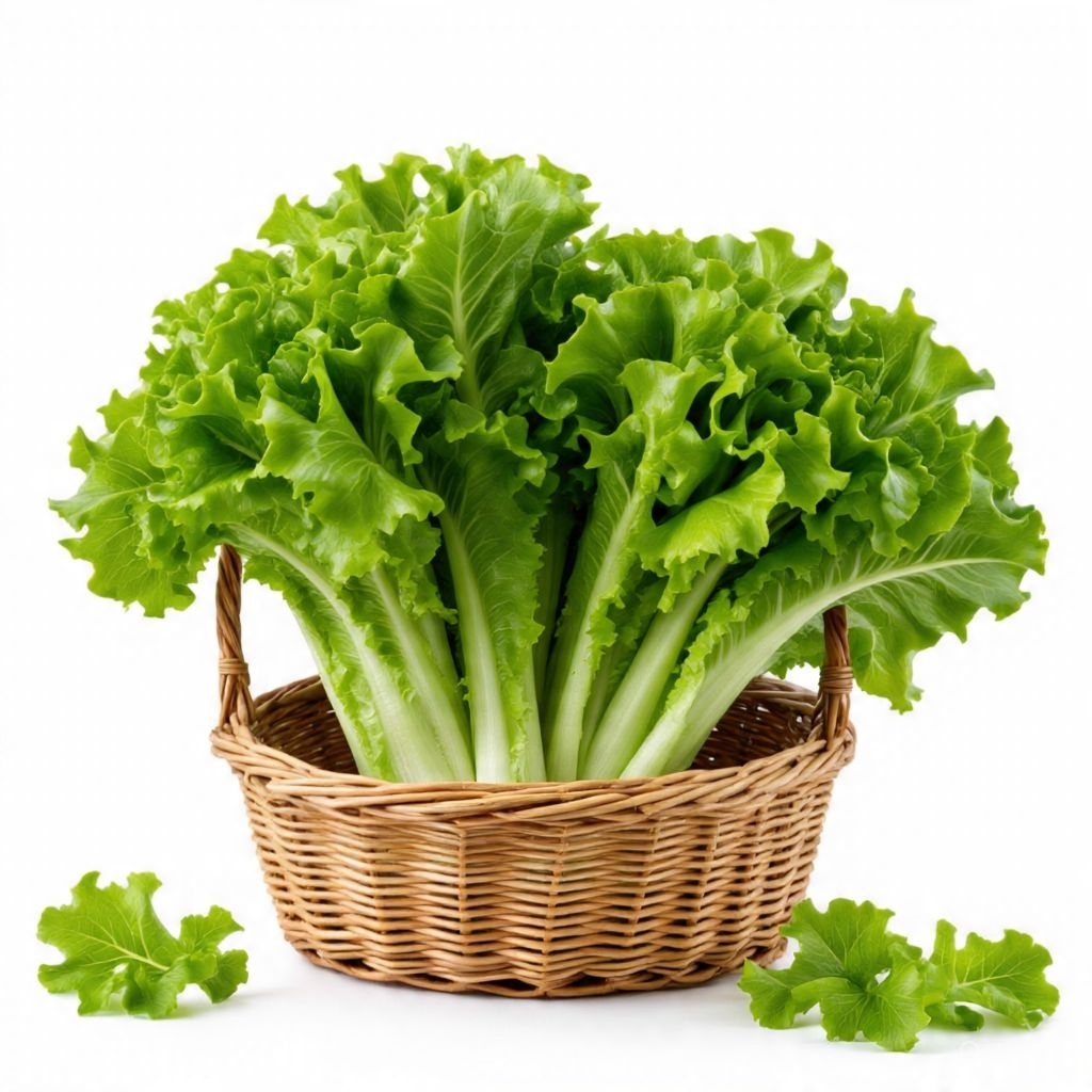 

Sayur Selada Untuk Lalapan - Bakul