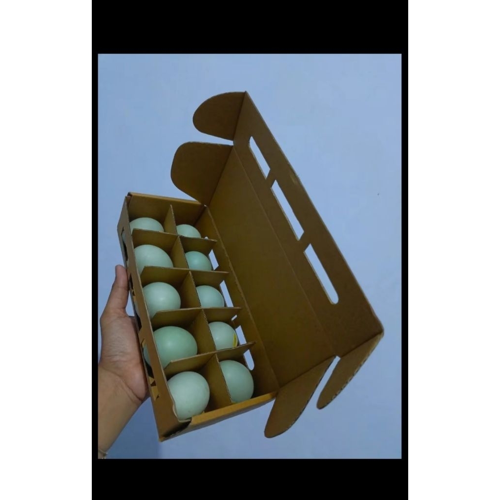

telur bebek