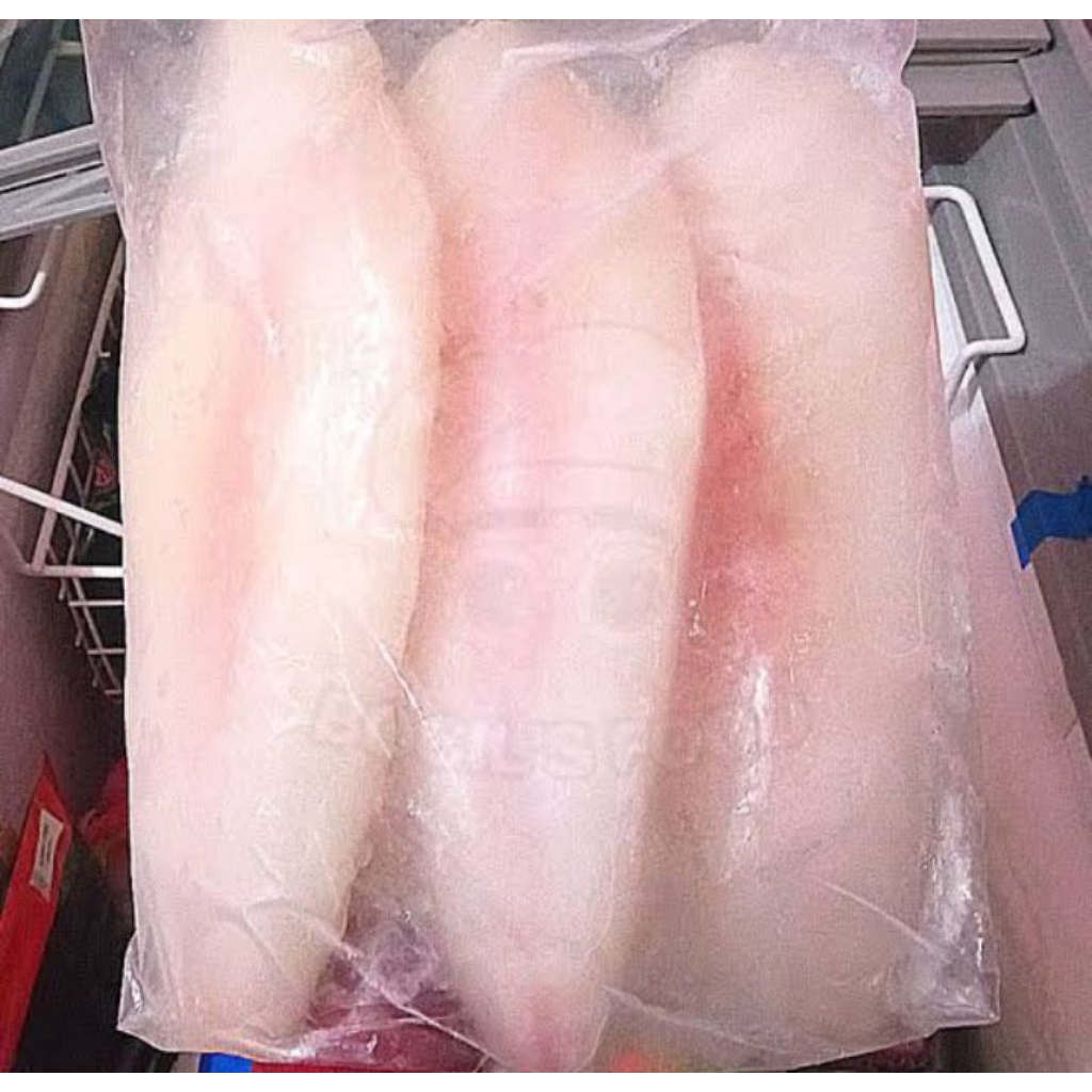 

Ikan Dory Filet 1 Kg