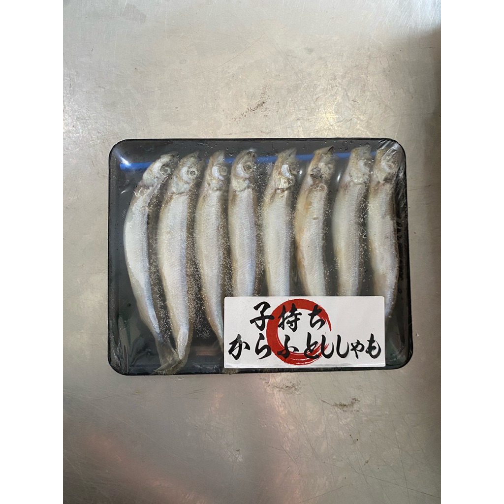 

Ikan Shisamo Betina Super Isi 8 Ekor Per Pack Berat 150-170Gram/Pack