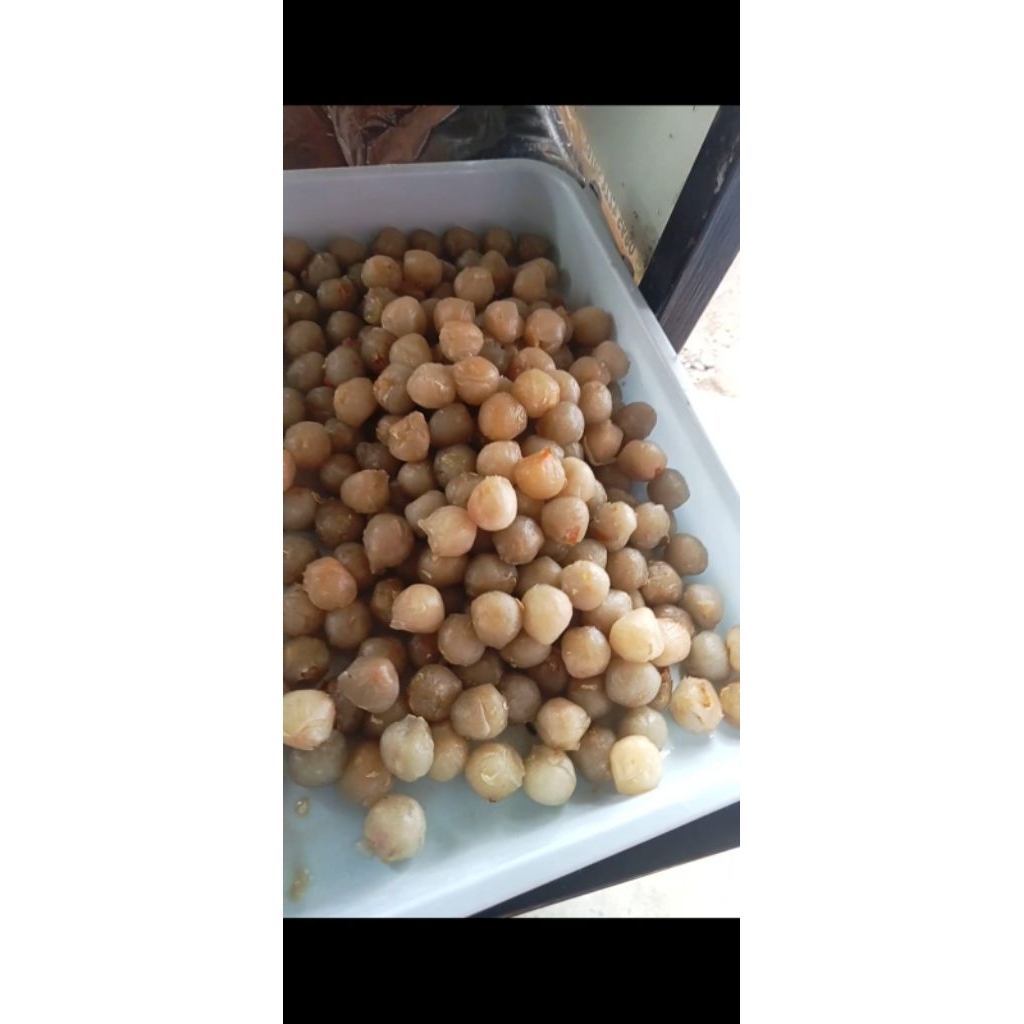 Brothoaly Olos Tegal Viral Mba Yani Pegirikan Isi 20Pcs (Ayam Pedas) Oleh-Oleh Khas Tegal Kemasan