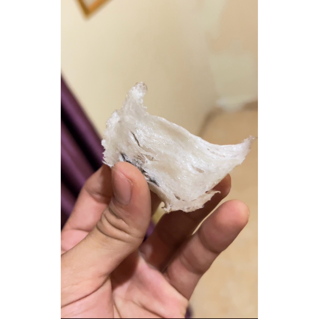 

Sarang Walet Belum Dibersihkan - SP Sarang Premium 100% alami tampa bahan kimia