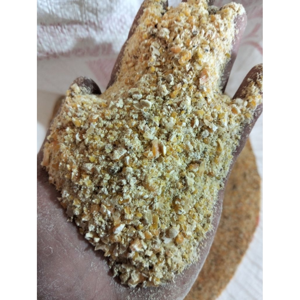 JAGUNG GILING MURNI Pakan Ayam, Campuran Pakan ayam Petelur, Bebek Petelur  dan Pakan Ayam Pedaging.