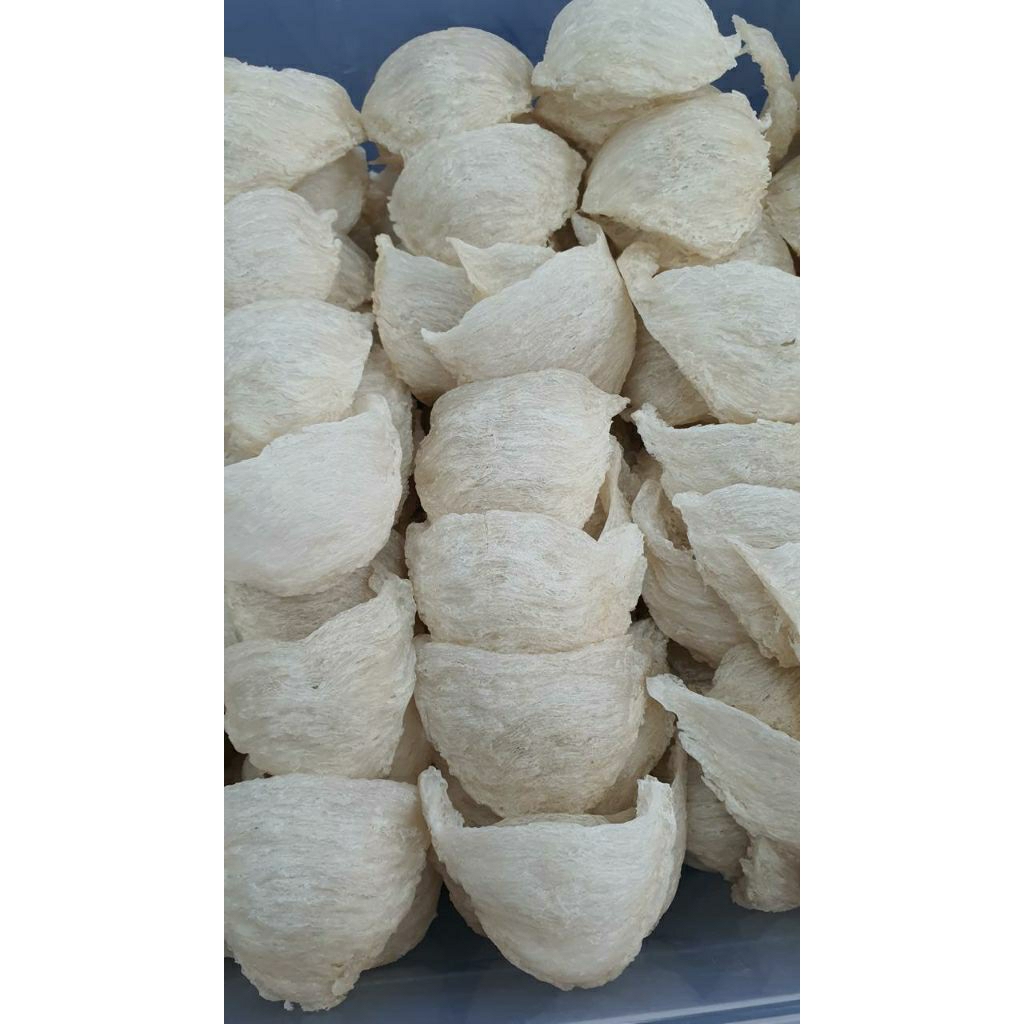 

Sarang Burung Walet Kering Sudah Cabut Sarang Walet Sudut Cetak