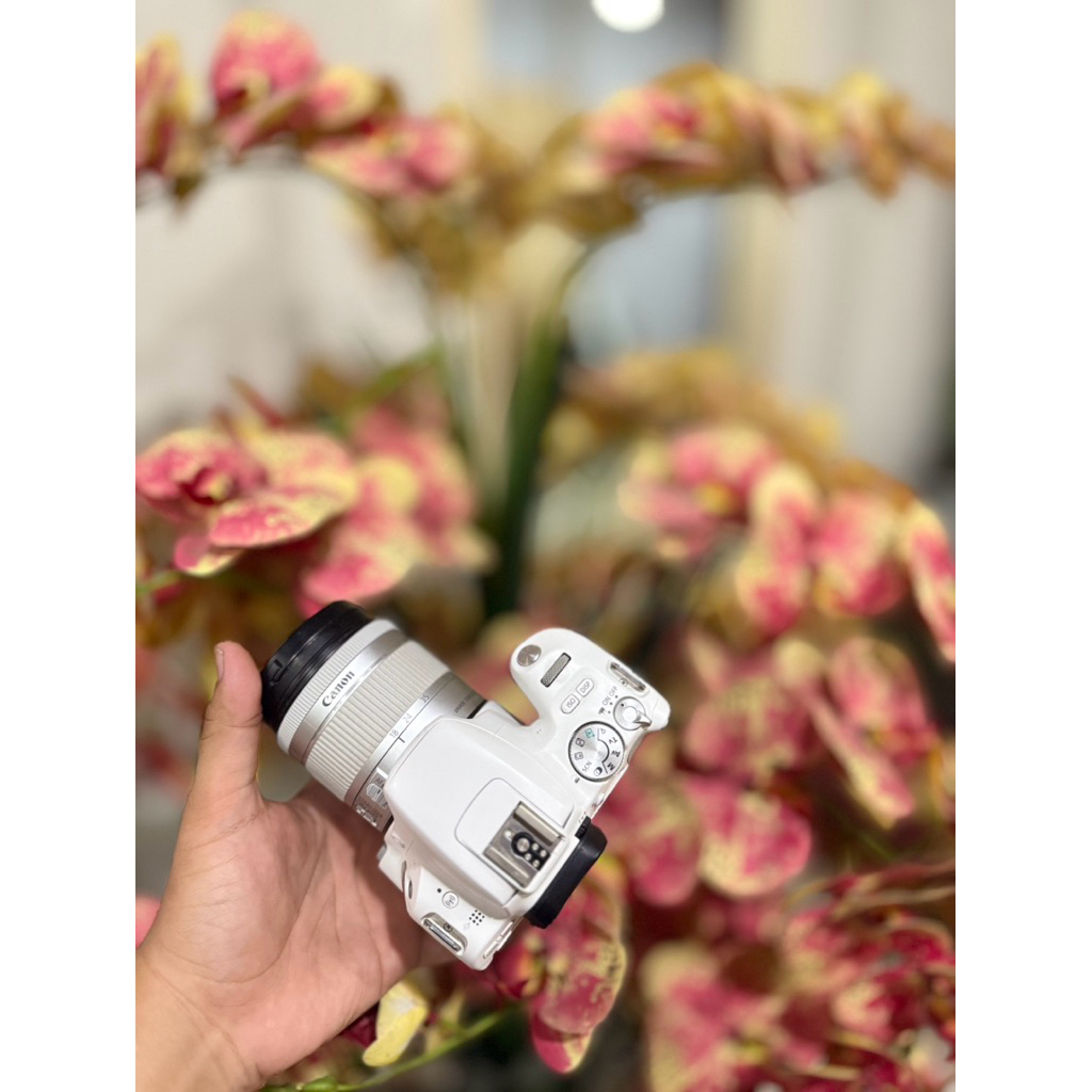 canon 200d bukan canon 250d bukan canon 750d bukan canon 800d