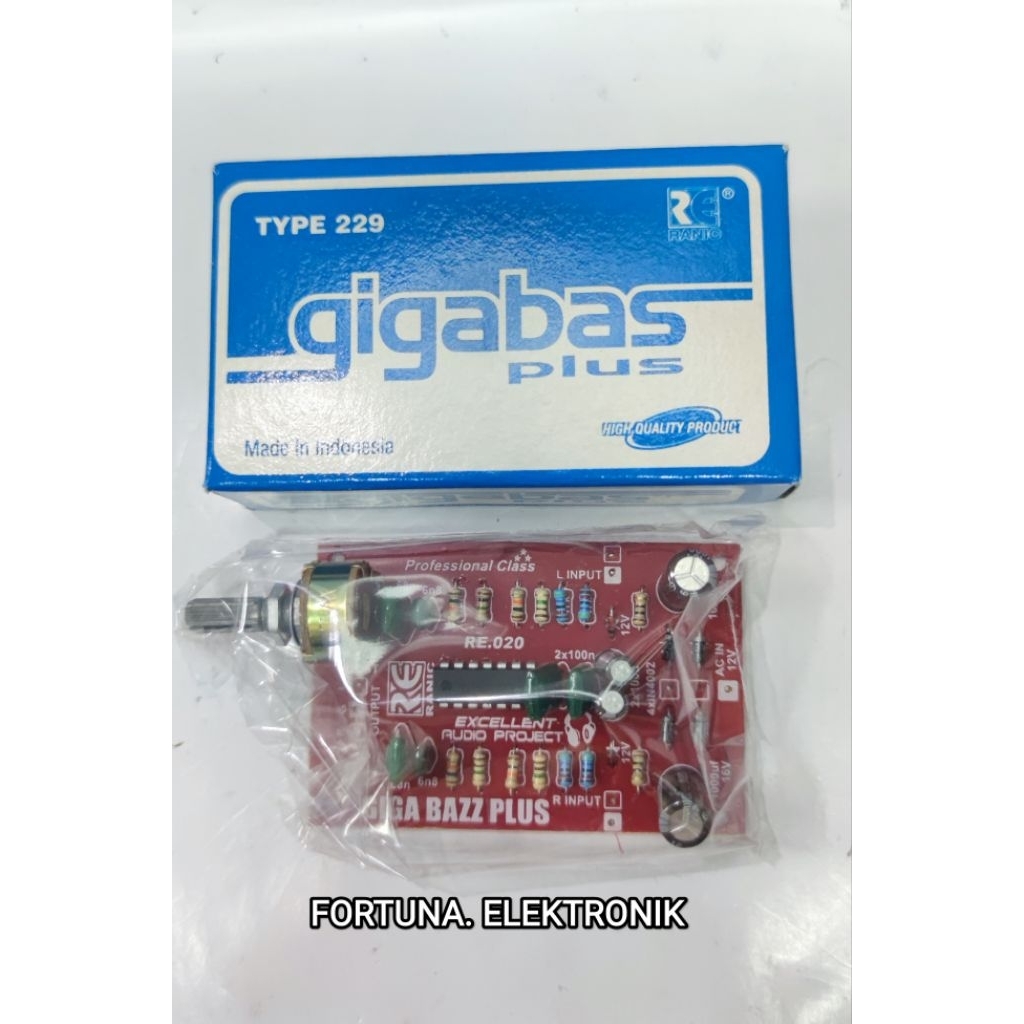 RANIC KIT GIGABASS PLUS TYPE(229)