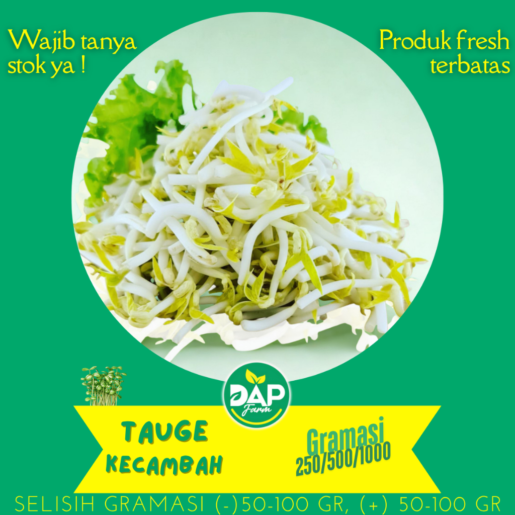

Tauge/ Kecambah/ DAP Fram/ Sayur Segar Jakarta