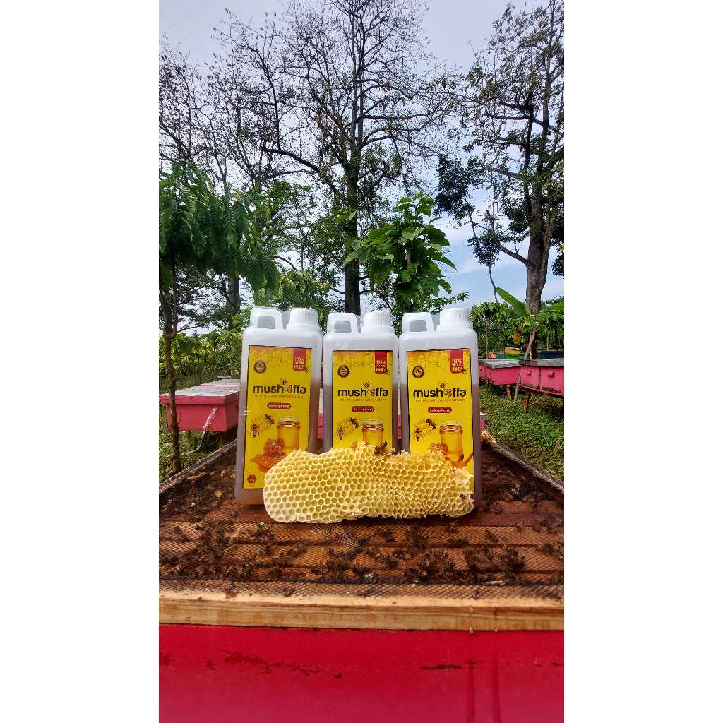 

Madu Kelengkeng 100% Murni Asli Kemasan 1 Kg Raw Honey Harga Murah