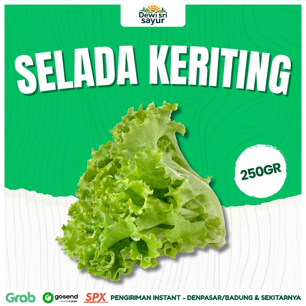 

Selada Keriting 250gr – Dewi Sri Sayur