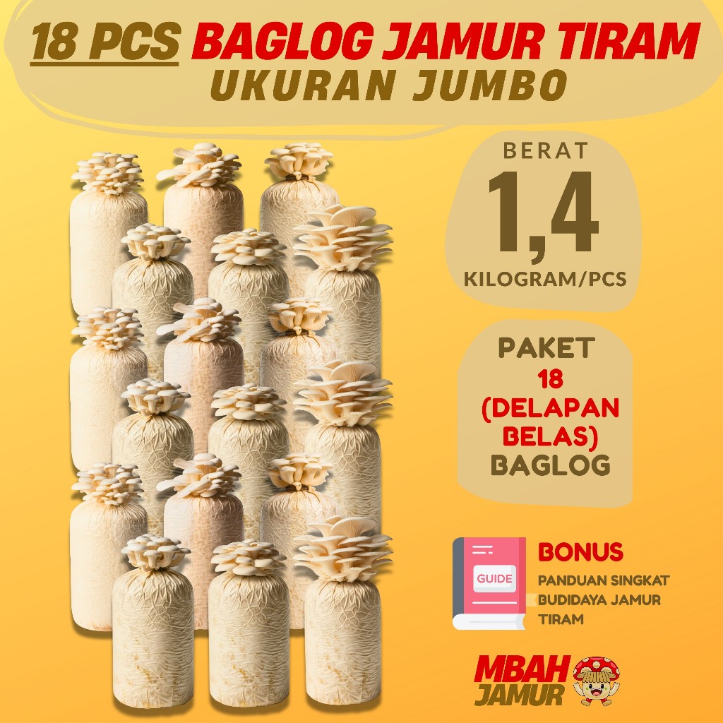 

18 Pcs Baglog Jamur Tiram Putih Jumbo 1.4kg Siap Panen Media Tanam | Benih | Bibit Bonus Panduan