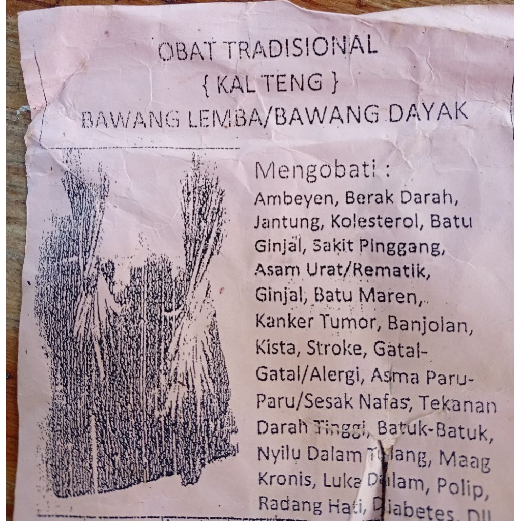 

bawang dayak / bawang lemba asli Kalimantan 100gr