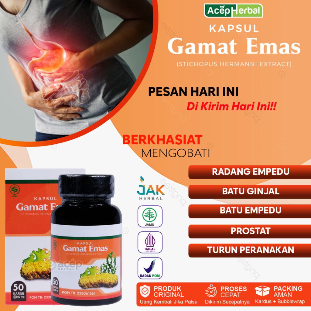 Obat Radang Empedu, Obat Radang Kantung Empedu, Obat Batu Empedu - Kapsul Gamat Emas 50 kapsul