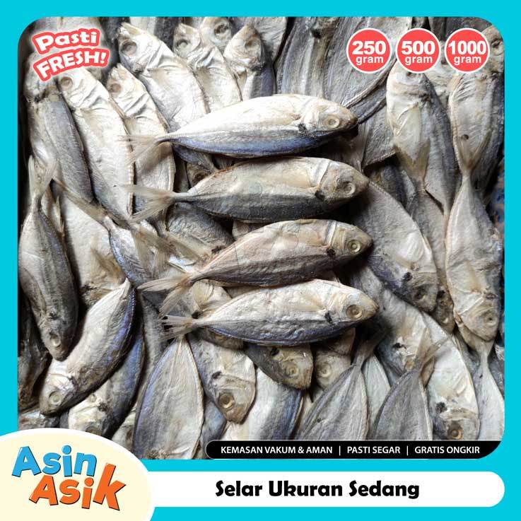 

Ikan Asin Selar Ukuran Sedang Premium Kualitas Super Segar Fresh Kemasan Vakum Aman