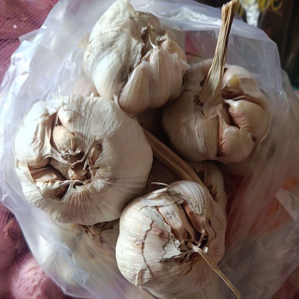 

Bawang putih 1 kg