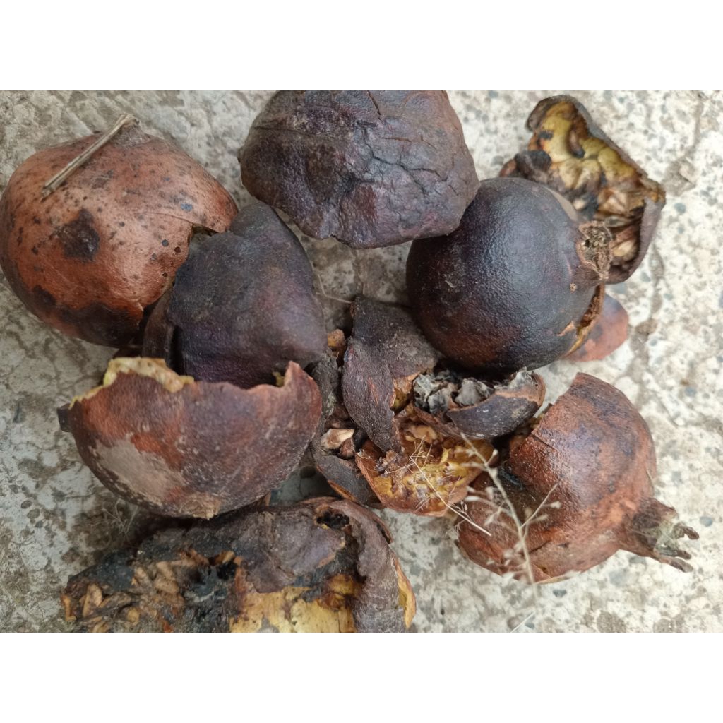 

kulit buah delima 500 gram