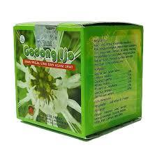 

KAPSJHO DARI WARNA H!JAU/ESTRAK-GD0NG!JHOOOU