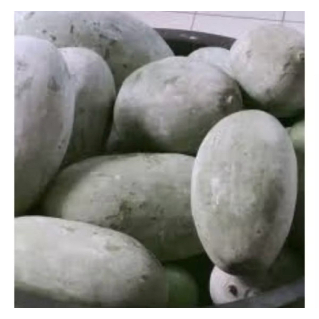 

COD BUAH BLIGO / BUAH KUNDUR / WINTER MELON 1 - 1,5 KG