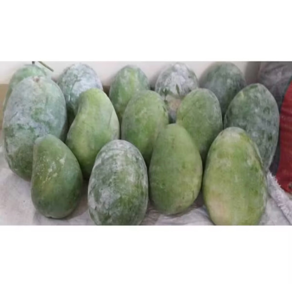 

Buah Bligo Bligo/Kundur 2 - 2,5 Kg Fress Baru Di Petik