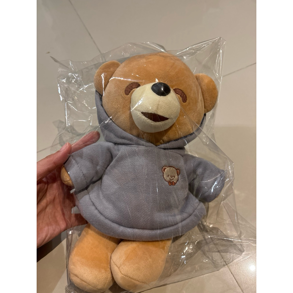 boneka teddy bear hoodie istana boneka