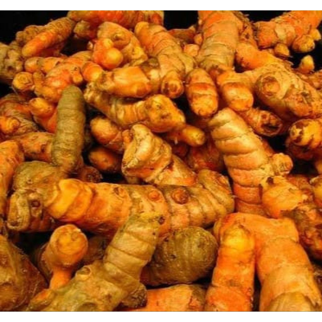 

kunyit segar 1 kg